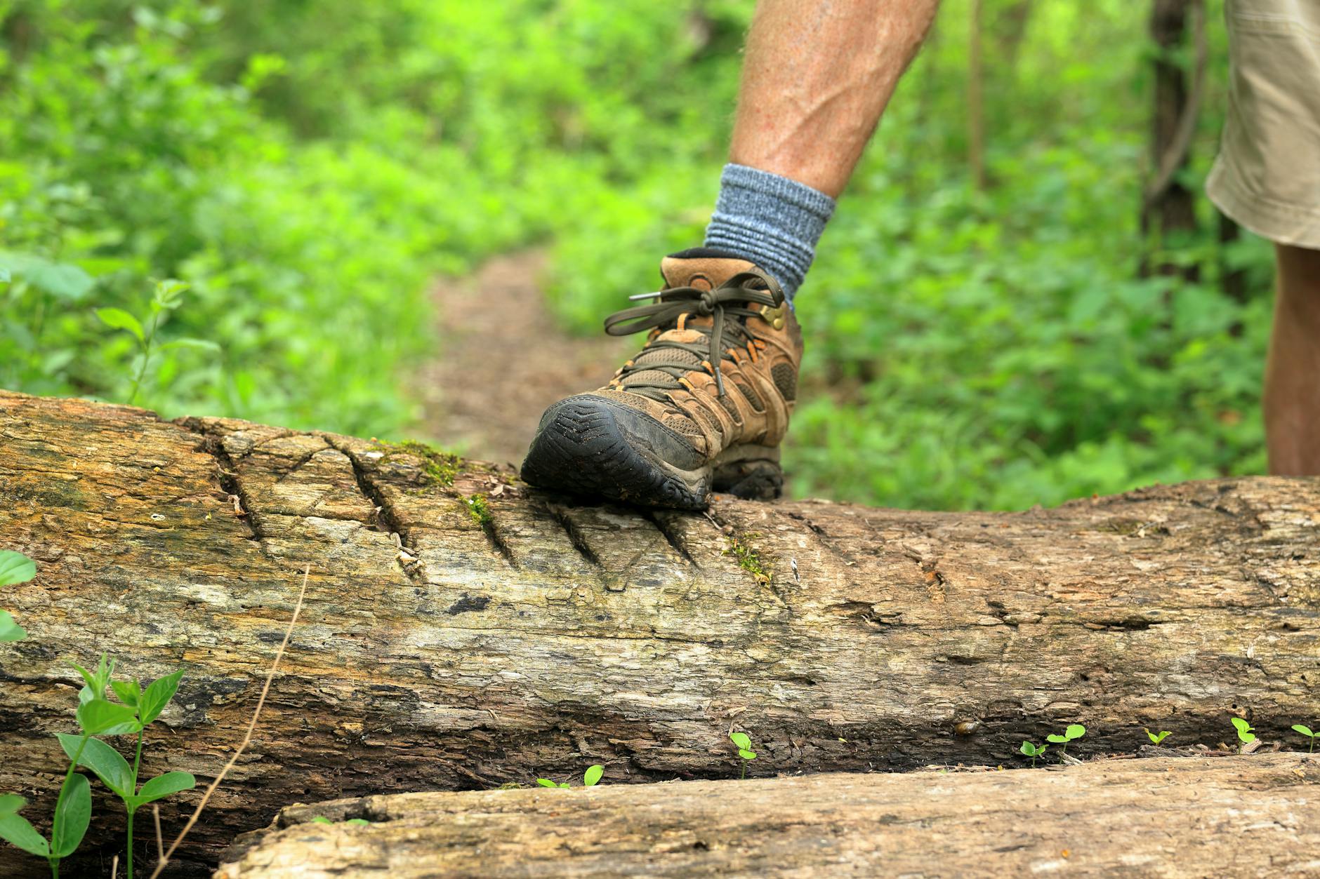 Best Hiking Boots for Men: Tested & Reviewed (70)
